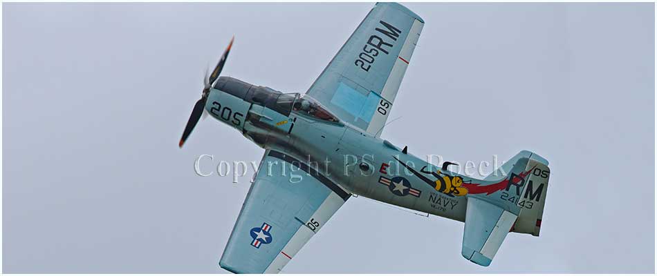 Douglas Skyraider La Ferte Alais